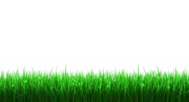 Lush green grass against image isolated illuustration on transparent background