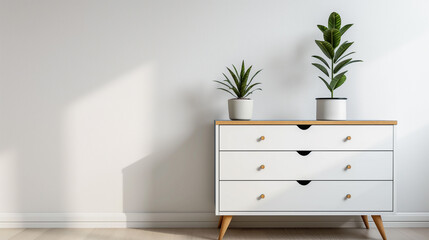 Cômoda Moderna em Estilo Nórdico com Plantas em Vaso