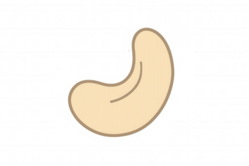 Cashew nut illustration icon, healthy food snack, allergen, vegan protein, gourmet ingredient, transparent background
