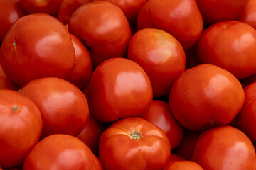 Tomatoes for sale on display at the Union Square Farmers Market in New York City on Wednesday, Oct. 8, 2025. (Photo: Gordon Donovan)