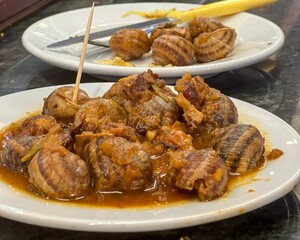 Traditional Spanish Snails in Tomato Sauce Served on White Plate