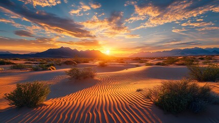 Desert landscape with sunset and sand dunes scenic view nature background travel destination outdoor 100char