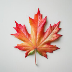 red maple leaf