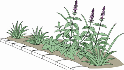 Flower garden illustration blooming plants curbside landscaping design herbal plants greenery botanical drawing garden bed foliage flowers spring summer nature flora vegetation back.