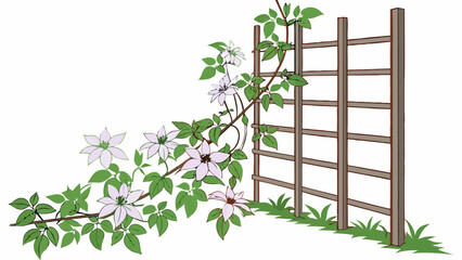 Flowering Vine on Wooden Trellis Garden Design Illustration.