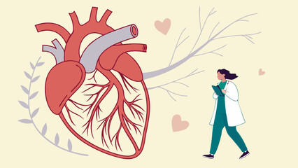 Heart Anatomy Illustration with Doctor Medical Concept Healthcare Cardiology.