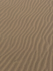 Soft wave-like patterns of sand stretch across the desert, reflecting midday light beautifully