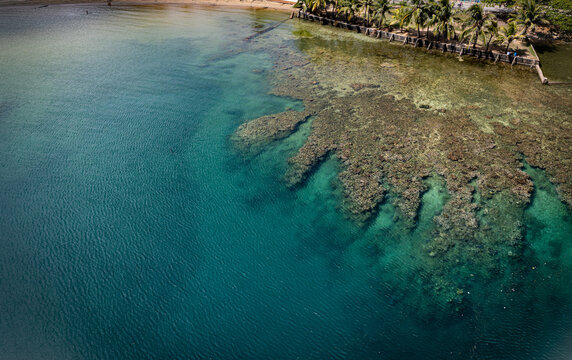 Drone view of crystal-clear Caribbean water revealing coral reef near tropical shoreline lined with palm trees. Beautiful natural seascape of Roatán, Honduras with shallow reef and turquoise hues. - Powered by Adobe