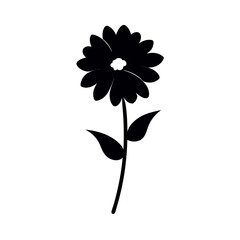 black flower on a white background