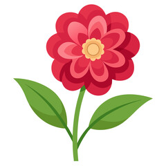 september flower on white background