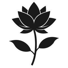 mums flower silhouette on white background