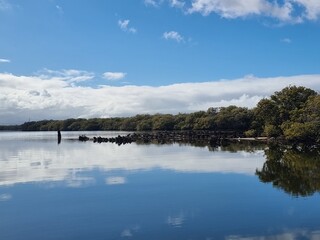 A rusty ship wreck in mangroves on the Port River, Adelaide South Australia. Under a beautiful blue sky with white clouds