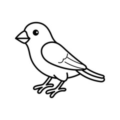 Simple black and white line drawing of a small bird standing on its feet against a transparent background suitable for children's illustrations and educational materials