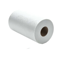 Cylindrical roll of white absorbent paper with visible texture, isolated on black