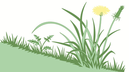 Floral illustration dandelion grass blades green nature spring summer meadow plants botanical illustration design element vector art artwork graphic floral design nature backgrou.