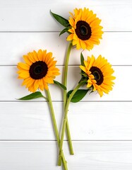 Three sunflowers on a white wooden background