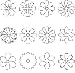 Minimalist white flower set