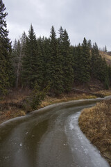 Cloudy Autumn Day at Whitemud Park