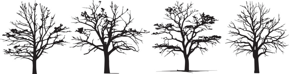 Obraz premium Detailed silhouettes of leafless deciduous trees symbolizing winter season, nature stillness, and environmental beauty, perfect for landscape art, forest backgrounds, eco illustrations, and seasonal d