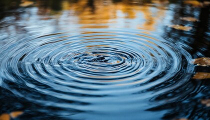 The photograph shows concentric ripples expanding from the center of a dark-blue pond, reflecting muted autumn colors from trees nearby.