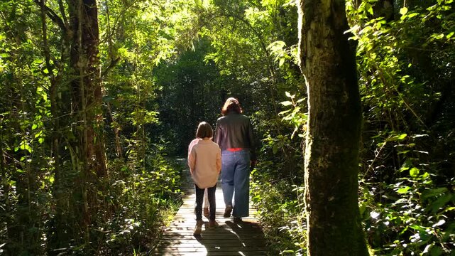 Mom with twin girls on wooden boardwalk explore lush indigenous Knysna forest