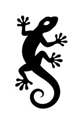 A detailed illustration of a human brain with intricate neural pathways and electrical impulses isolated on transparent background