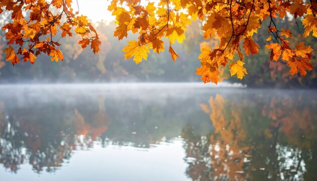 Golden autumn leaves partially frame a serene lake surface, creating a reflection of the vibrant foliage, showcasing the peacefulness of nature with fog gently covering the water and distant trees,...