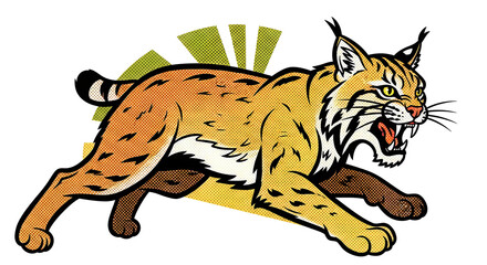 vector illustration of a bobcat