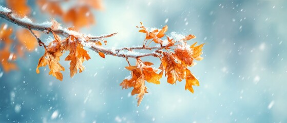 The delicate art of seasons: autumn's finale under a blanket of snow. Modern design. Vivid orange leaves on a snow-dusted branch against a twilight sky. Clean retouch. Luxury style.
