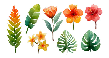 Vibrant Collection of Hand-Painted Watercolor Tropical Flowers and Leaves