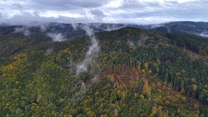 A stunning Aerial View of a Lush Green Forest, surrounded by Mist and a Scenic Landscape