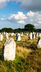 A field of ancient, upright stones under a blue sky with fluffy white clouds. The stones are spread across a grassy area with trees on the horizon