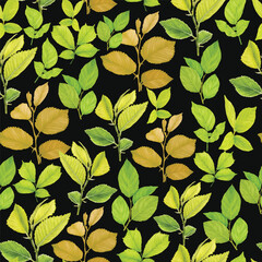 beautiful floral seamless pattern