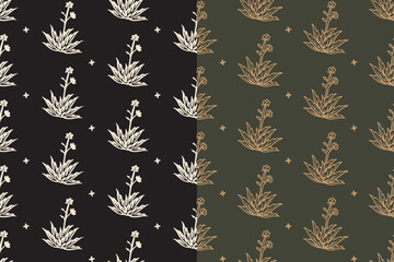blooming agave pattern on black green background set for textile and decor. flowering succulent repeat pattern with crosses in dark and olive tones. hand drawn blooming agave pattern for wallpaper