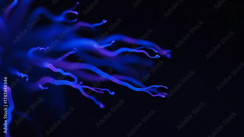 Poster glowing pulsating abstract bioluminescent tendrils spread and undulate in deep blues and purples, cr