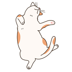 仰向けになって眠る猫　イラスト
