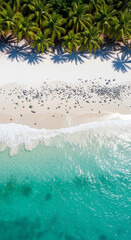 A realistic photography of beautiful diamond beach with gentle wave, clean water, white sand, coconut trees, and stone.