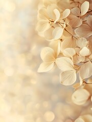 Soft Focus Dried Hydrangea Flowers with Bokeh Background