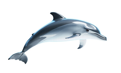 Obraz premium Sleek Dolphin in Motion: Aquatic Majesty