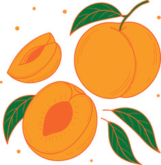 Juicy Handdrawn Peach Drawing Design