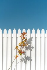Minimalist composition of a young plant casting a shadow on a white wooden fence under a bright blue sky, symbolizing growth, simplicity, modern design, and natural beauty in a sunny outdoor scene