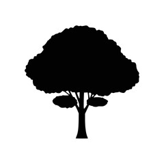 Elegant Tree Silhouette Vector Illustration Nature Design Element and Symbol