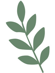 Olive Green Sprig Leaves Illustration