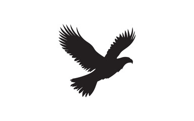 Obraz premium eagle in flight