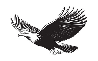 Obraz premium eagle in flight