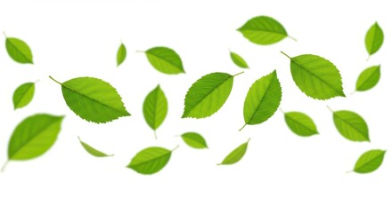 Fresh green leaves floating on a white background, creating a sense of lightness and natural beauty