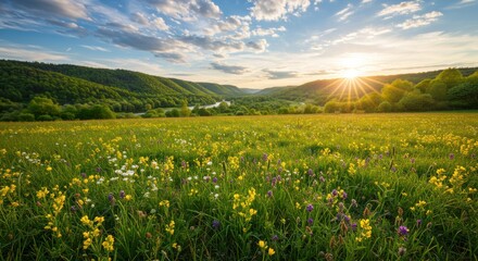 Sunlit meadow yellow, white, and purple wildflowers with forested hills and river