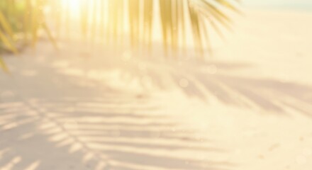 Sunlit beach scene with palm frond shadows and soft focus