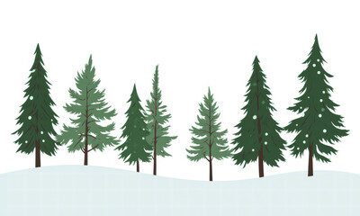 Obraz premium Winter Forest Scene with Evergreen Trees on Snow