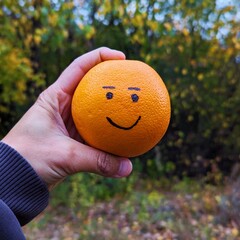 In a person's hand is a citrus fruit of an orange with drawn eyes and a smile in first person